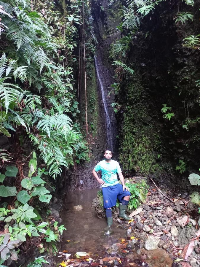 Finca Sueno De Osa Puerto Jiménez Extérieur photo