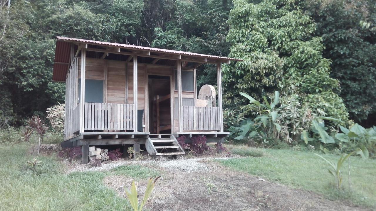 Finca Sueno De Osa Puerto Jiménez Extérieur photo